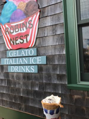 Robin's Nest by null