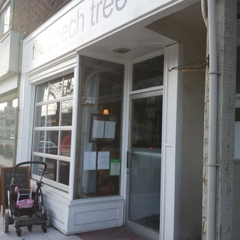 The Beech Tree - Wine Bars Near Me - Toronto, Ontario