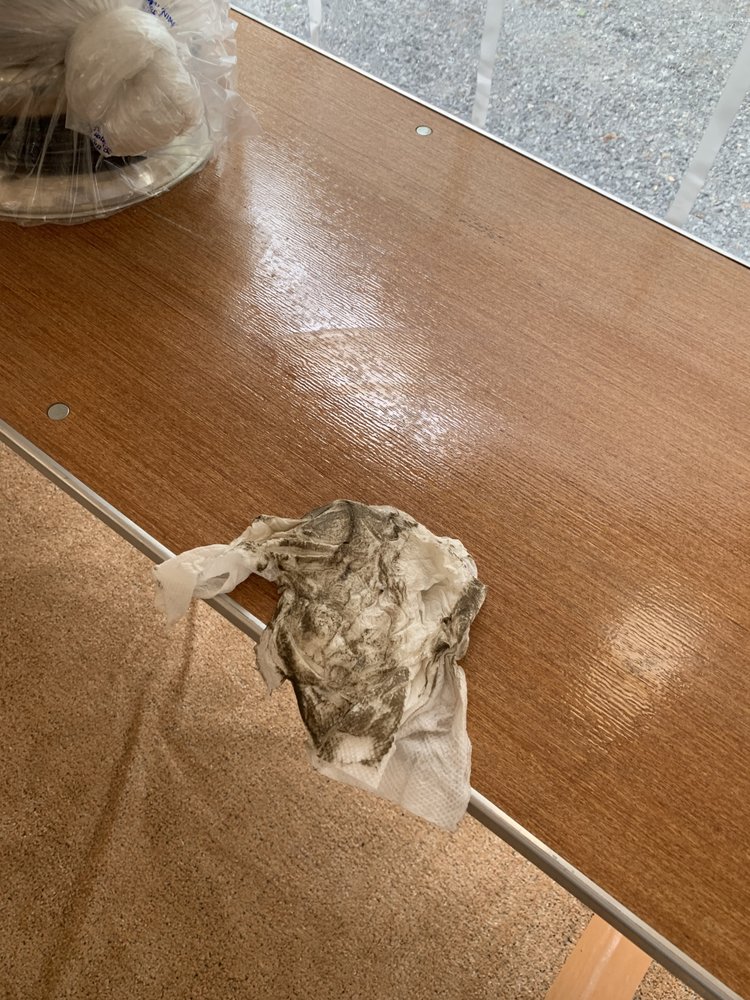 CANTELE TENT RENTALS Updated August 2024 14 Photos & 12 Reviews