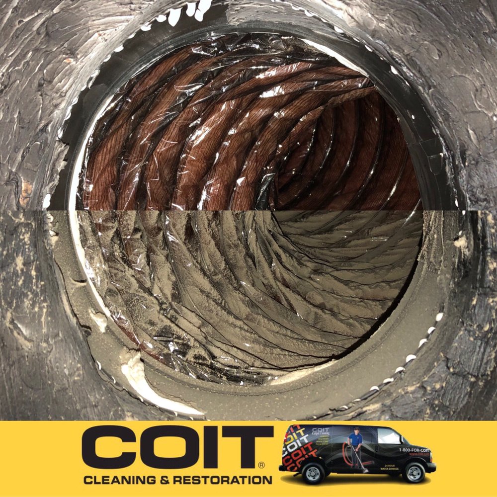 Coit cleaning and restoration of austin updated september 2024 58