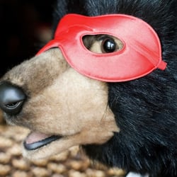 Dilly Dally - The mascot Penelope in disguise