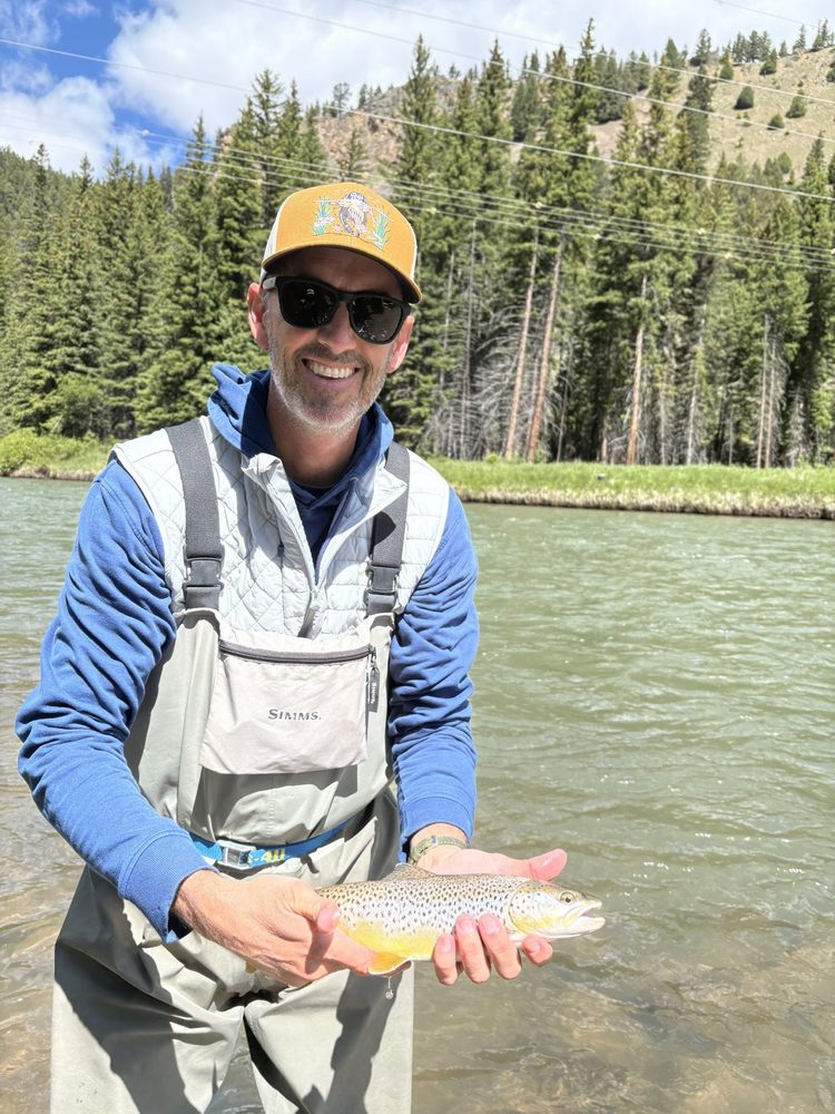 Wild Trout Outfitters Logo