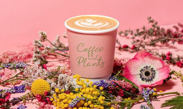 Coffee and Plants by null