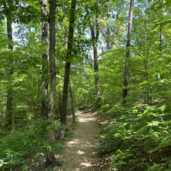 Elsie Holmes Nature Park