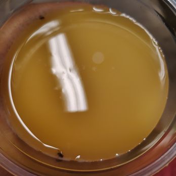 McDonald's - Flies in drink - Fast Food Near Me - Spring Valley, New York McDonald's - Flies in drink - Fast Food Near Me - Spring Valley, New York
