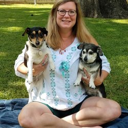 4 Paws Critter Sitter - Mia, my JRT & Crash, my Chiweenie