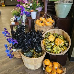 Safeway - 9/6/2025 - Autumn is coming!!