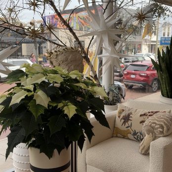 Commune - Gift Shops Near Me - Grand Rapids, Michigan