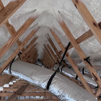 Attic World - Wildlife Control Near Me - San Antonio, Texas