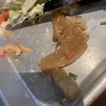 Tiki Taco - The fat from inside my quesadillas...eeewwww - Mexican Near Me - Summerville, South Carolina Tiki Taco - The fat from inside my quesadillas...eeewwww - Mexican Near Me - Summerville, South Carolina