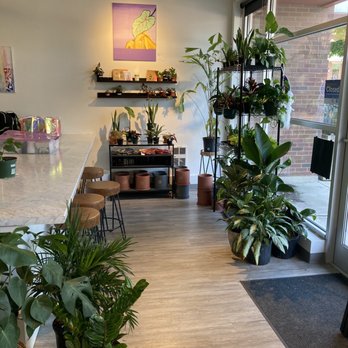 District 78 - Plants, plants, plants! It's unbeLEAFable! - Nurseries & Gardening Near Me - Cincinnati, Ohio