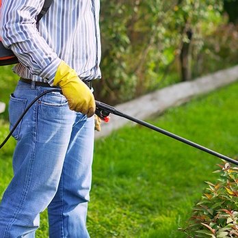 Midwest Pest Control - Barrier treatment from Midwest Pest Control - Pest Control Near Me - Tulsa, Oklahoma