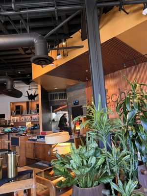 Echo - Taste & Sound by null