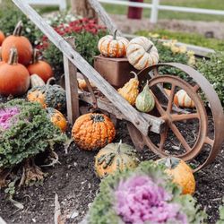 Leaman's Green Applebarn - Decor