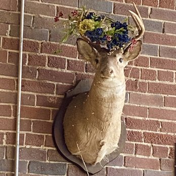 Karma's Coffee House - Cute - Coffee & Tea Near Me - Cullman, Alabama