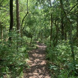Raven Run Nature Sanctuary - Trail