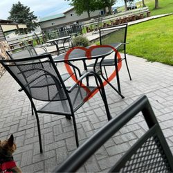 Alchemy Brewing - Neighbors cat came to visit (and distracted our dog)