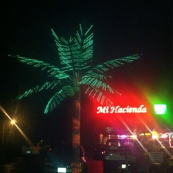 I found a palm tree in Illinois!