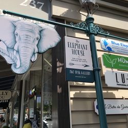 Elephant House