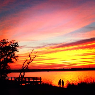 Carolina Beach State Park by null