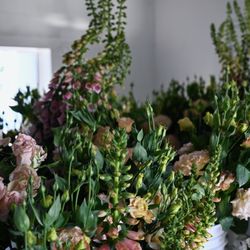 Fieldwork Flowers - Interior of xs vancouver shop. it's a drive thru - was a bank previously.