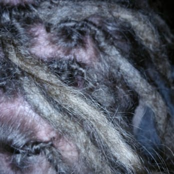 InnerLokked Dreads - Tite dreads. Looking good. - Hair Salons Near Me - converse, Texas InnerLokked Dreads - Tite dreads. Looking good. - Hair Salons Near Me - converse, Texas