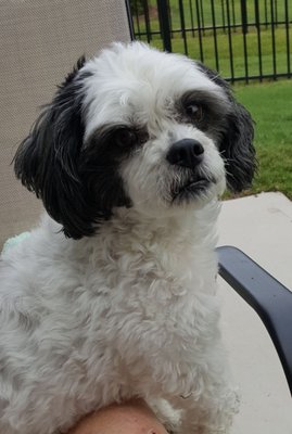 ANIMAL EYE CARE ASSOCIATES - Updated March 2025 - 12 Reviews - 6426