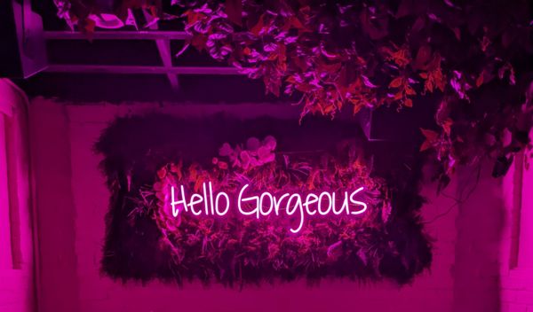 Never Looked Better by null