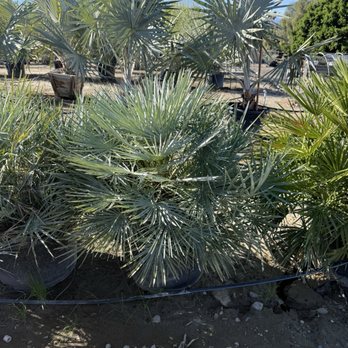 Madison Gardens - Nurseries & Gardening Near Me - Indio, California