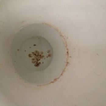 MCS Cleaning Services - Mold in my toilet, post-cleaning - Home Cleaning Near Me - San Francisco, California MCS Cleaning Services - Mold in my toilet, post-cleaning - Home Cleaning Near Me - San Francisco, California