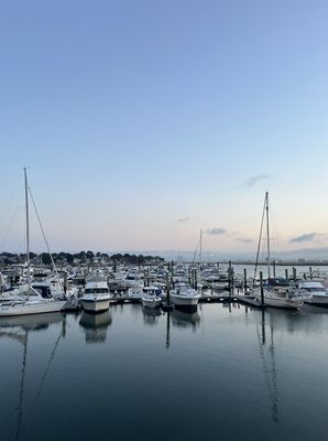 Belle Isle Seafood by null