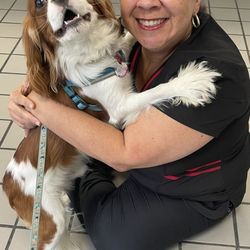 Animal Medical Center - All smiles with Ollie and Irene!