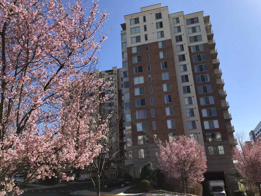 WILTON HOUSE CONDO Updated August 2024 2726 Gallows Rd, Vienna