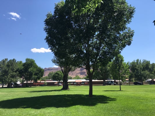 Swanny City Park by null