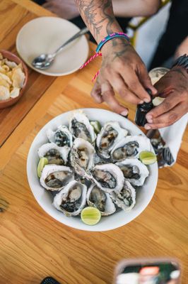 Sirilo | Cocina Folk by null