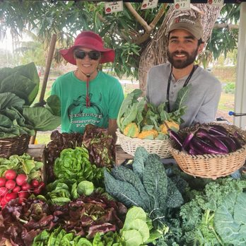 Westgate Community Farm - Farmers Market Near Me - West Palm Beach, Florida Westgate Community Farm - Farmers Market Near Me - West Palm Beach, Florida