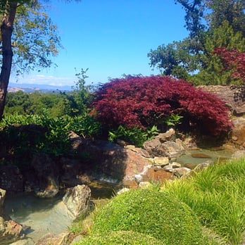 Arista Winery - One of two waterfalls really adds to the ambiance. The ideal picnic table is directly behind where I'm standing. - Wineries Near Me - Healdsburg, California Arista Winery - One of two waterfalls really adds to the ambiance. The ideal picnic table is directly behind where I'm standing. - Wineries Near Me - Healdsburg, California