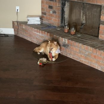 best in show dog grooming baton rouge