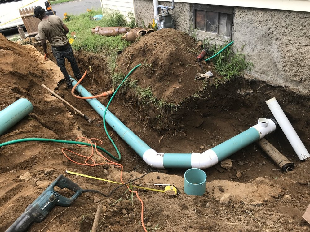 Slide of Roger Rooter