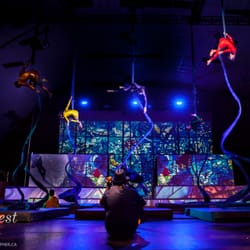 CircusWest - Annual Show 2014: Kaleidoscope