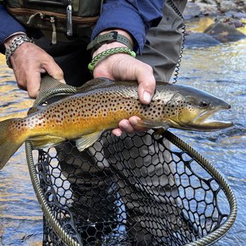 WNC On The Fly Fishing - Fishing Near Me - Murphy, North Carolina WNC On The Fly Fishing - Fishing Near Me - Murphy, North Carolina