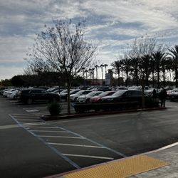Marshalls