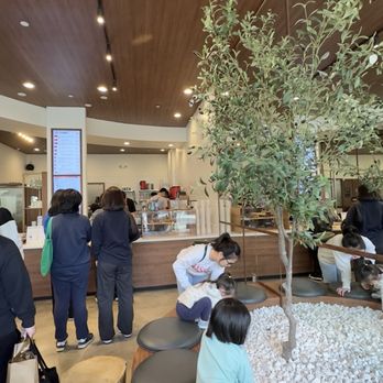 Cha Redefine - Coffee & Tea Near Me - Arcadia, California Cha Redefine - Coffee & Tea Near Me - Arcadia, California