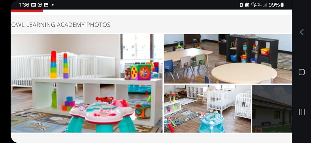 Little Owl Learning Academy - childcare center in New Port Richey, FL