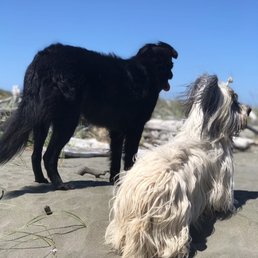 Beach Adventure! Beach Adventure!
