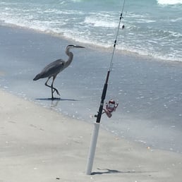 Belleair Beach FL.