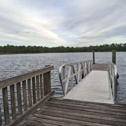 Young Pine Community Park