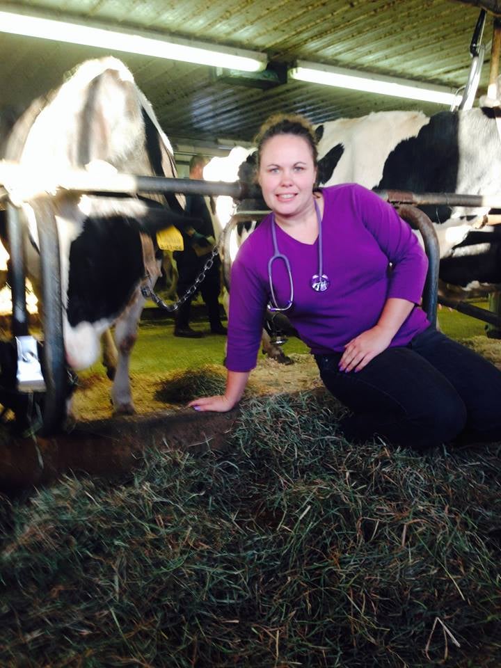 LAVENDER MOBILE VET Updated September 2024 13 Photos & 10 Reviews