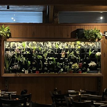 Xacalli Kitchen - Indoor - Mexican Near Me - Silverado, California Xacalli Kitchen - Indoor - Mexican Near Me - Silverado, California