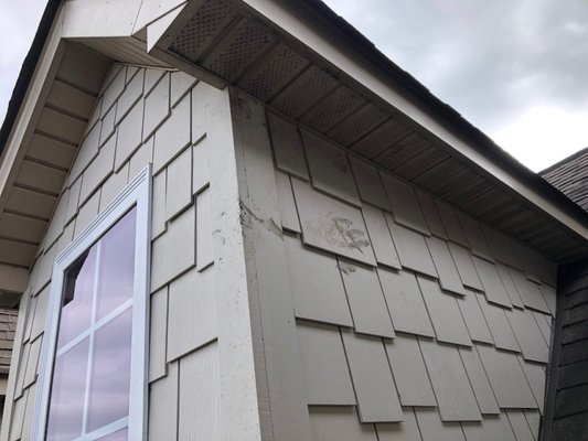 APS WINDOW & GUTTER CLEANING - Updated January 2025 - 29 Reviews